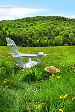 Relaxing on a summer chair