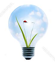 Clean Energy