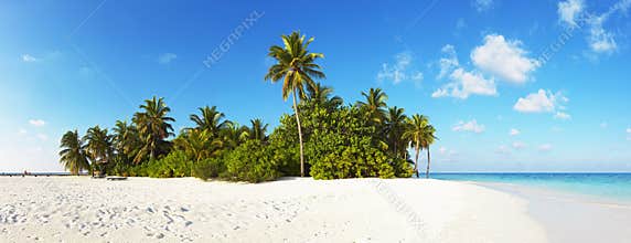 Tropical paradise