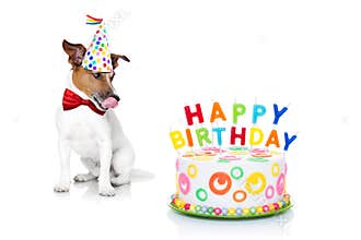Happy birthday dog