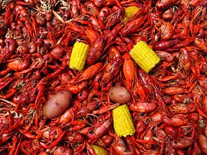 Crawfish Boil