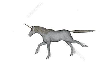 Unicorn