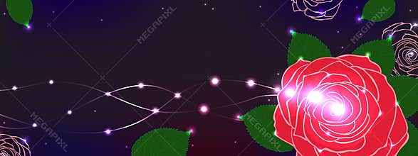 Rose flower romance banner horizontal bright