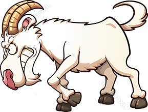 Angry goat