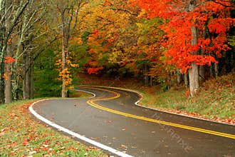 Autumn Roads