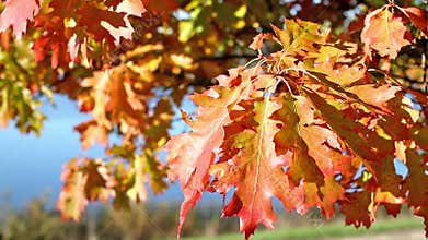 Colours of the changing seasons