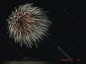 Firework