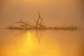 Misty Autumn Sunrise