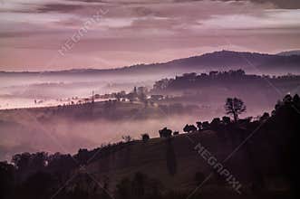 Purple misty hills