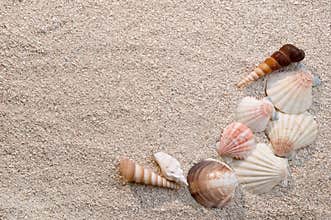 Frame of sea shells on sand