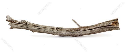 Mouldering branch