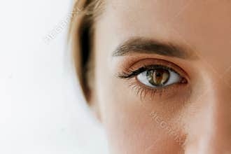 Closeup Of Beautiful Girl Eye And Eyebrow With Natural Makeup