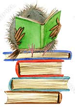 Owl. cute owl. school books illustration. cartoon bird