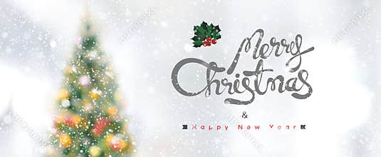 Merry Christmas and Happy New Year banner