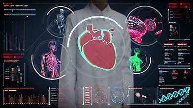 Female doctor touching digital screen, Female body scanning blood vessel, lymphatic, heart, circulatory system in digital display