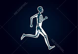 Human Bone Anatomy while run
