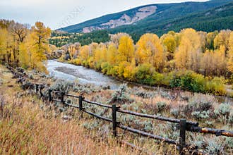 Snake River and the Golden Aspens
