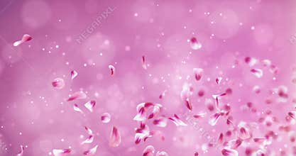 Flying Romantic Red Pink Rose Sakura Flower Petals Falling Placeholder Loop 4k