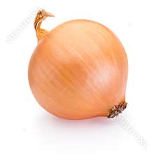 Ripe onion isolated on white background