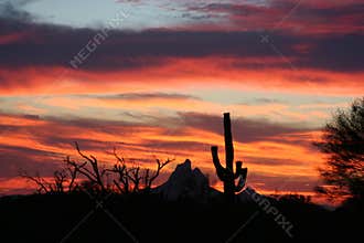 Arizona sunset