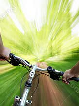 Mountain biking in the forest