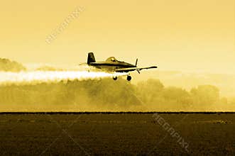Afternoon Crop Duster