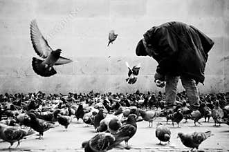 Poor man in Paris feeding pigeons