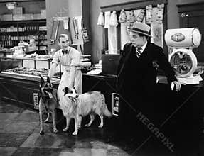 Man looking fearful at two dogs in a butcher store