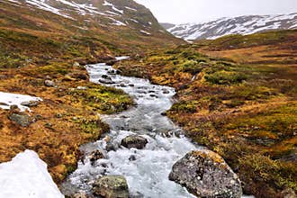 Tundra biome in Norway