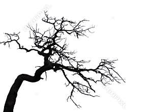 Scary tree