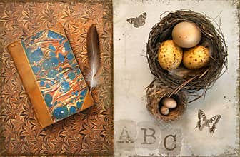 Old books with bird nests on grunge