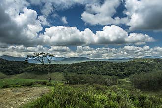Ambewela, Nuwara Eliya Sri Lanka