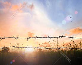 Barbed Wire Fence Silhouette against Vivid Dreamy Sunset Sky with Distant Flying Birds