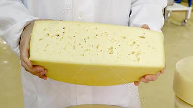 Production of cheese