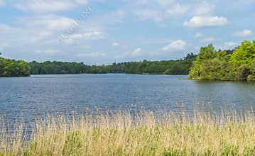 A lake in Virginia Water Park in Surrey, UK