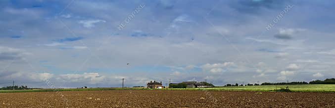 Farm