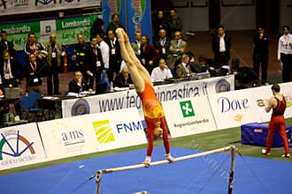 Milan Gymnastic Grand Prix 2008