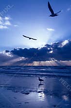 Blue sunset