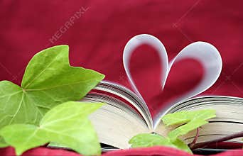 The romantic book of Love