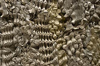 Recycling egg cartons