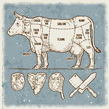 Vector illustration set cuttings of beef.