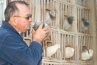 Man holding a pigeon
