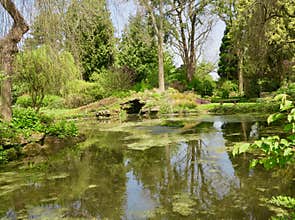 Landscape and the water