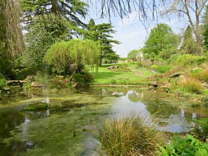 Water garden and the backdrop