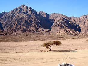 Red mountain on Sinai.