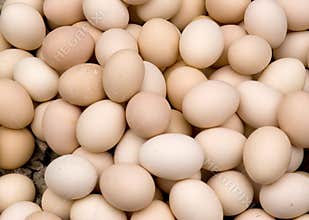Eggs