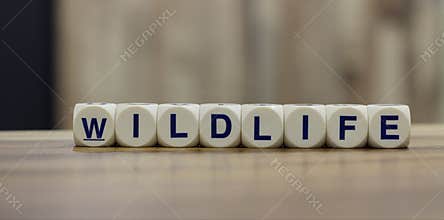 Wildlife letter cubes