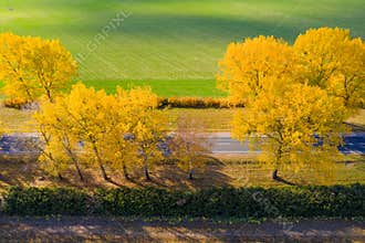Fall road. Aerial background with road. Travel backdrop. Autumn sunny day. Trees with yellow foliage