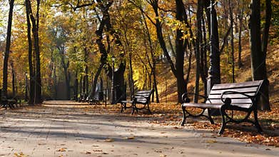 Autumn city park with benches. Path with fallen leaves. Background.