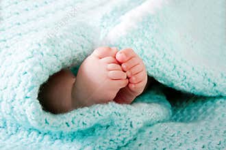 Baby feet in blanket